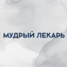 Мудрый Лекарь